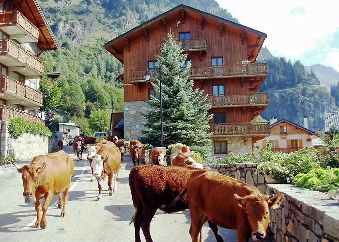 Apartment Les Du Bouquetin - Lynx