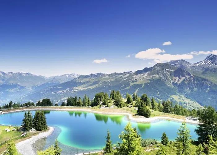 Les Du Bouquetin - Lynx *