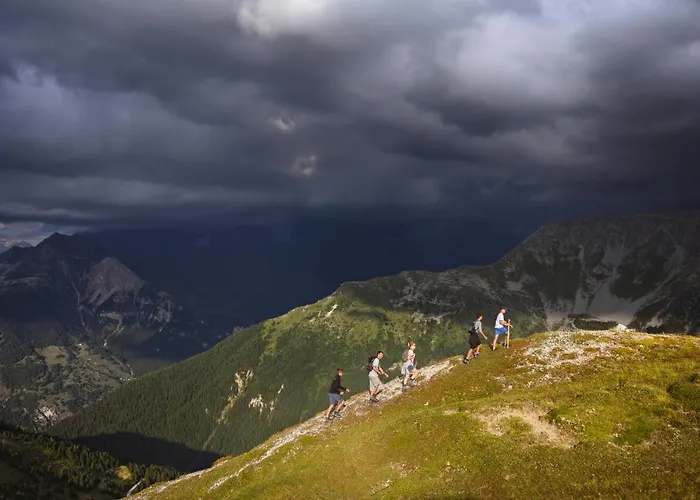 Les Du Bouquetin - Lynx